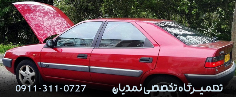 مشکلات شایع زانتیا